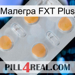 Малегра FXT Plus 24